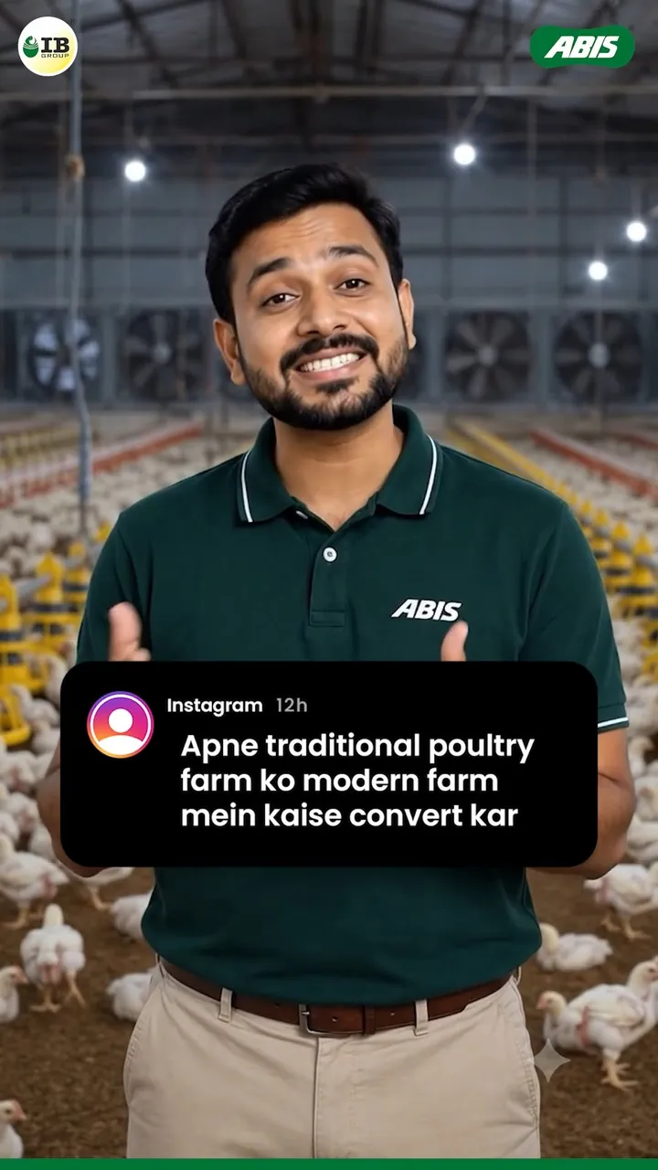 Ask ABIS expert poultry guidance reel